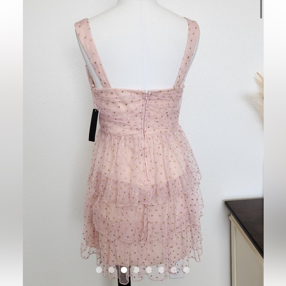 Mini Ruffled Tiered Tulle Dress - Picture 3 of 13